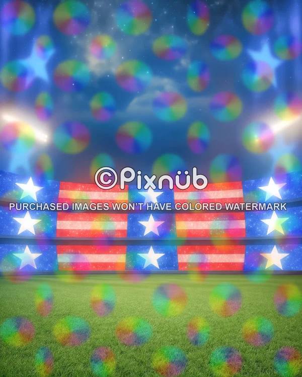 US Patriots - Stadium - Digital Background - Image 2