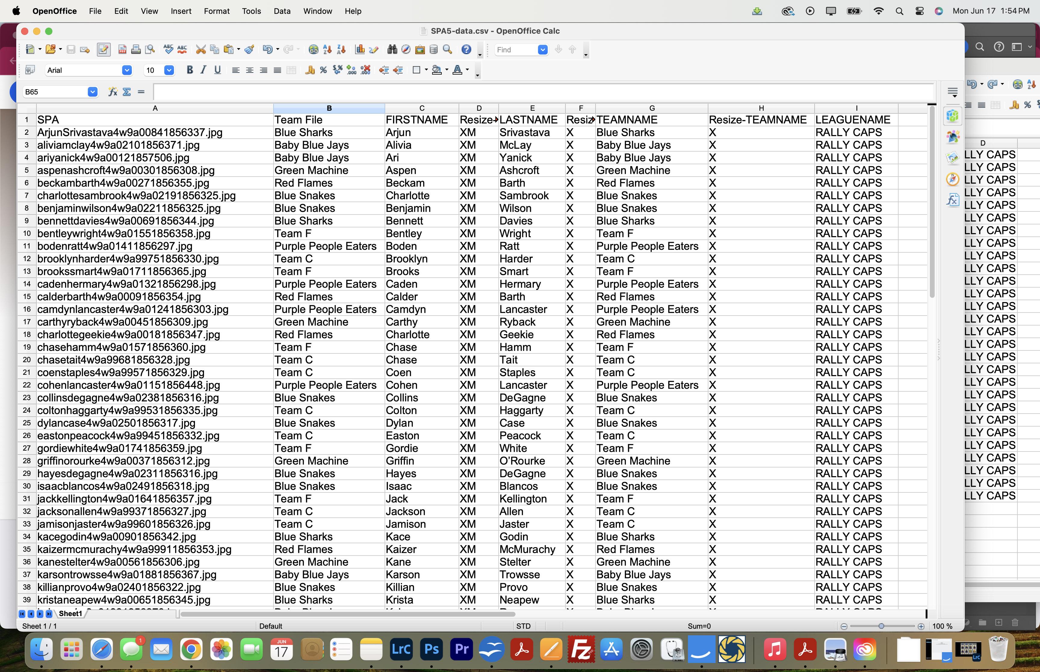CSV data